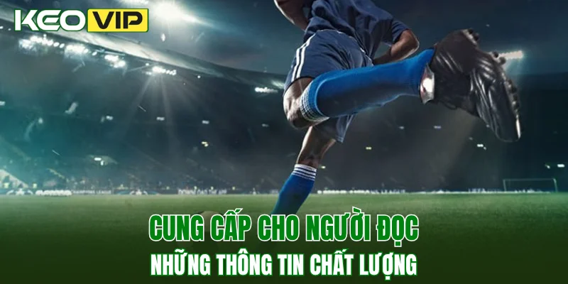Cung cấp cho người đọc những thông tin chất lượng