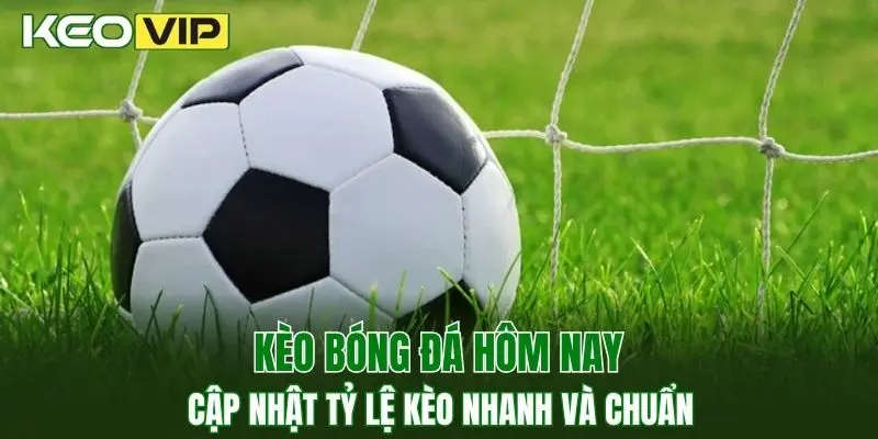 Kèo Bóng Đá Hôm Nay - Xem Tỷ Lệ Kèo Chuẩn Từng Giây 1 Kèo bóng đá hôm nay