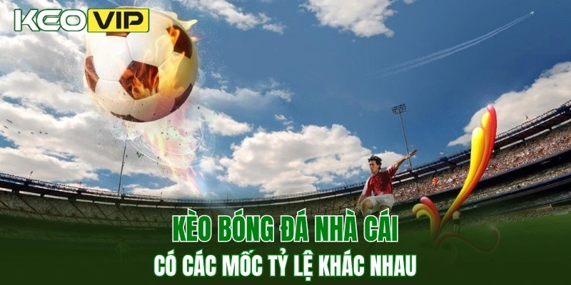 Kèo Nhà Cái World Cup - Bí Kíp Bắt Kèo Chuẩn Năm 2025 2 Kèo bóng đá nhà cái có các mốc tỷ lệ khác nhau