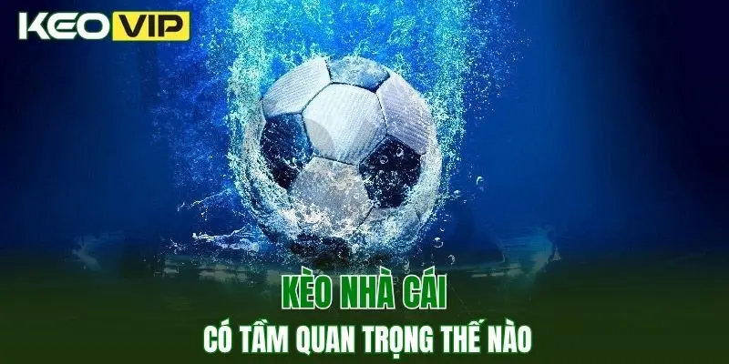 Kèo Nhà Cái World Cup - Bí Kíp Bắt Kèo Chuẩn Năm 2025 3 Kèo nhà cái hôm nay có tầm quan trọng thế nào