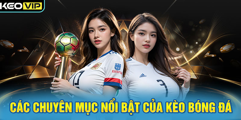 Các chuyên mục nổi bật của Kèo Bóng Đá